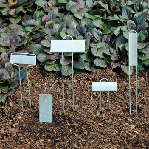 Zinc Plant Markers