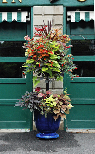 Pamela Crawford Planters: Basket Column For Large Pots