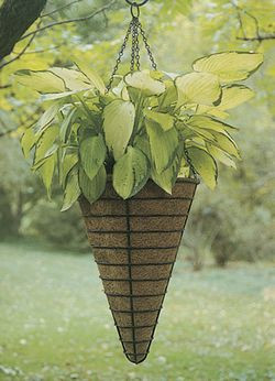12 Inch Diameter Conical Hanging Basket/Liner Set - Kinsman Garden Company