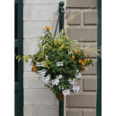 14 Inch Diameter Conical Hanging Basket/Liner Set - Kinsman Garden Company