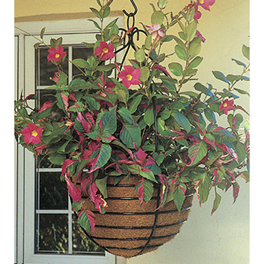 Bamboo Fiber Hanging Planter Set view 4