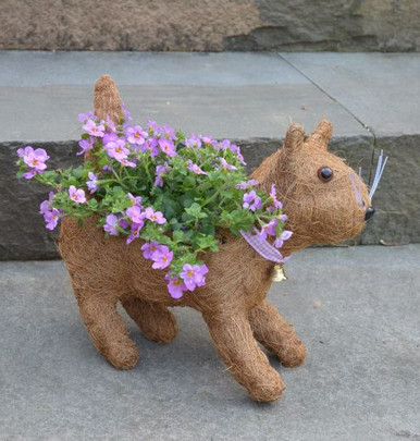 Cat Planter | Kitty the Coco-Fiber Kitten Topiary Planter