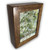 Miniature Acrylic Painting Green Pines with Exotic European Rose Hardwood Frame