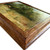 Unique Acrylic Painting 'Irish Wild Horse' in European Rosewood Hardwood Frame