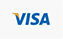 Visa Icon