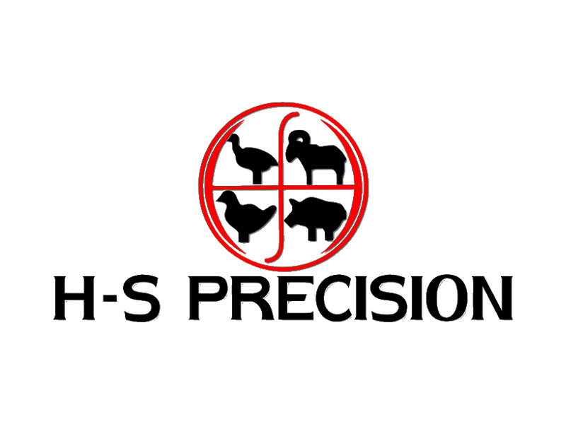 HS Precision Logo