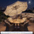10 FT Scalloped Solar Patio Umbrella with 24 LED Lights and Tilt Adjustment-Beige B593-NP13216