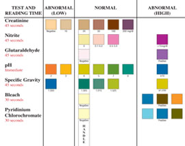 Saliva Drug Test Color Chart