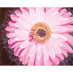 Pink Gerbera Daisy - Full Color Design Reference Image