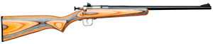 Crickett Youth, Crick Ksa2231    22lr Blued Brl    16.12 1r Bl/grn