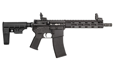 Tippmann M4-22 Elite 22lr 9" Brace