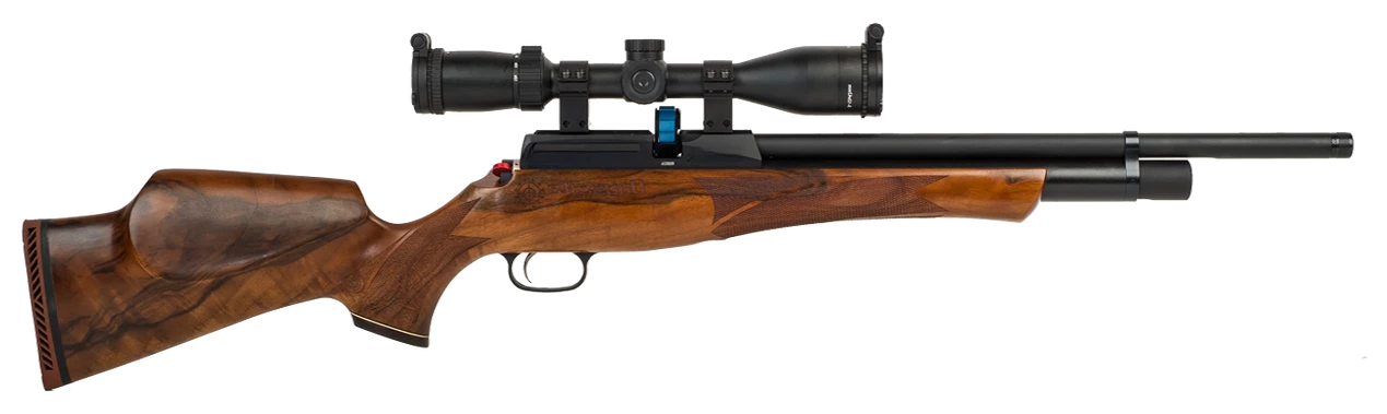 Long Guns