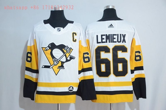 Pittsburgh Penguins Mario Lemieux #66 2020 Nhl Gold & White Jersey Jersey