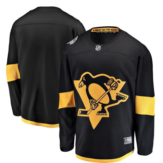 Pittsburgh Penguins Fanatics Branded 2019 Nhl Stadium Series Breakaway Jersey - Black