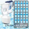 Filter Cartridges For Brita Water Jugs, 6 Filter Value Pack