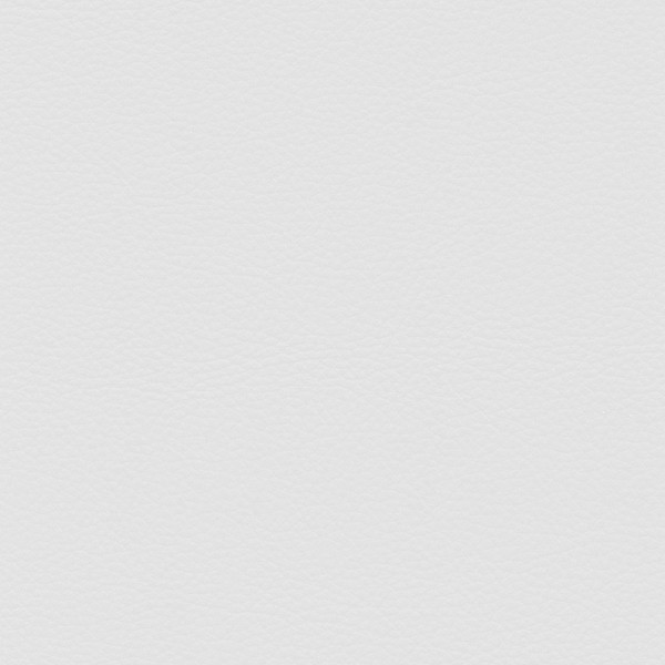 Leather1 Zen Furniture