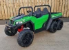 Kids 24V 2-Seater 4WD Ride on Ali-Gator XUV Tipper Truck