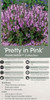 Salvia Pretty in Pink PPAF 25 BR Plants