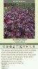 Heuchera Amethyst Myst 20ct Flat