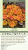 Heuchera Christa PP20764 20ct Flat
