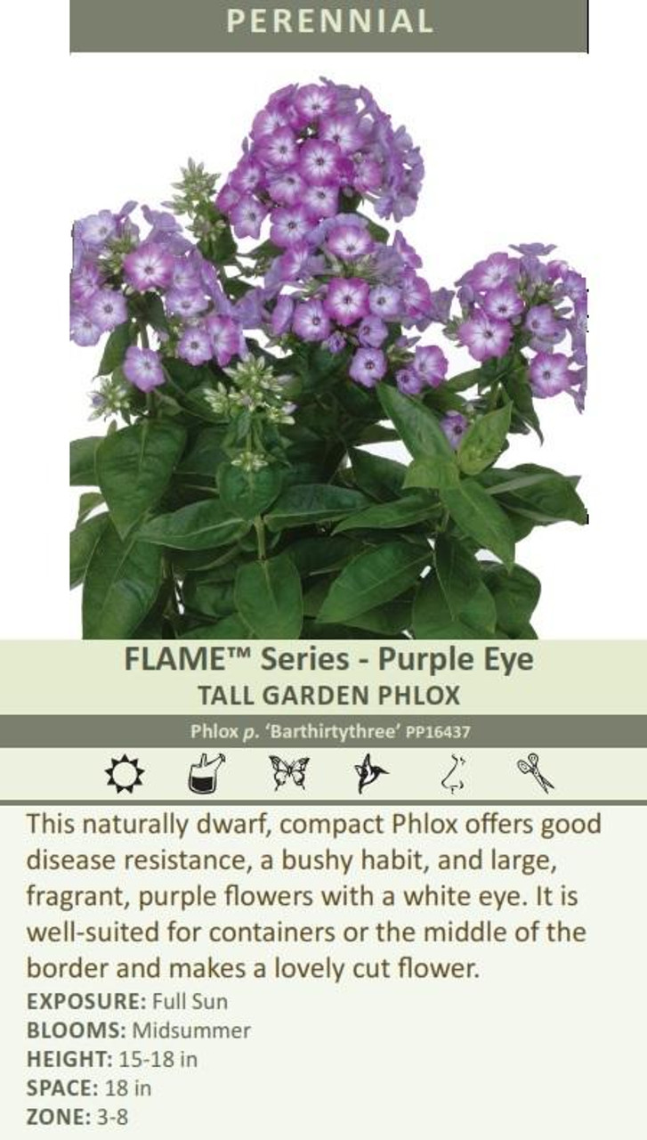 natural purple eyes disease