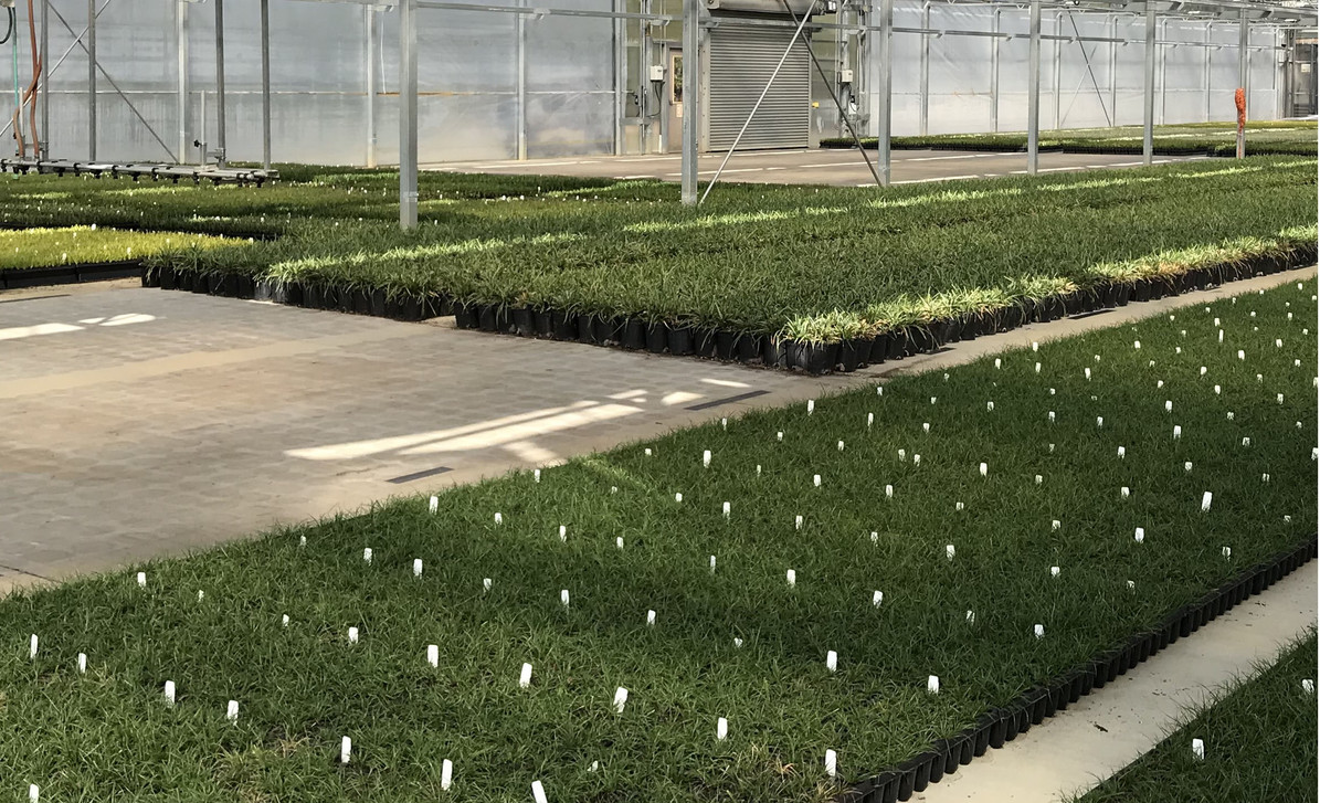 Sold Out: Yes, we know.