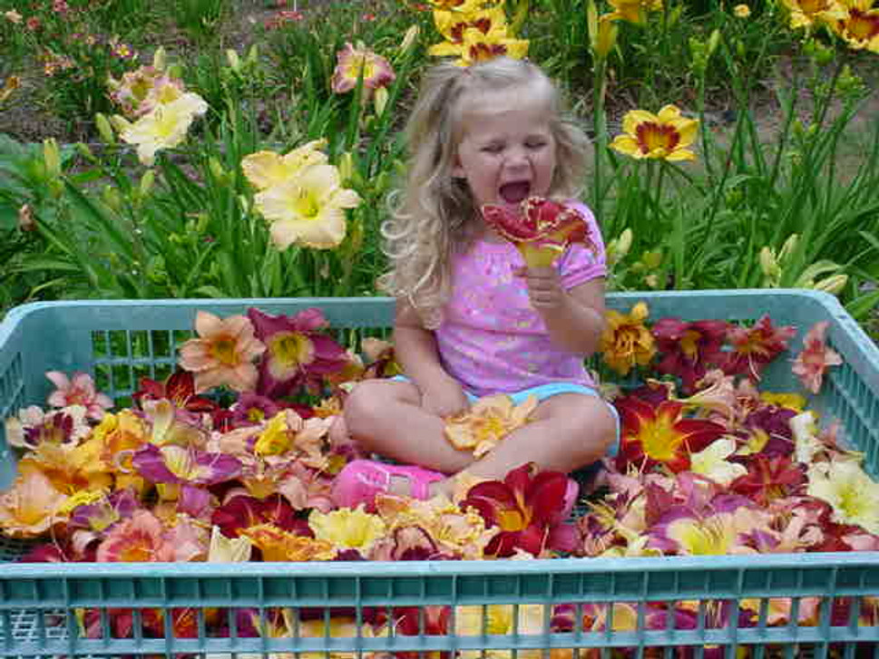 Common Gardening Blunders Common Gardening Blunders