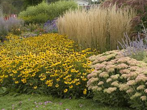 Follow Your Own Path Garden Options