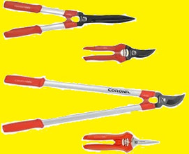 Winter Pruning for Healthier Perennials