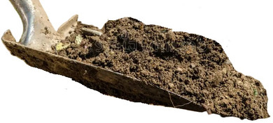 The Groundwork for Beautiful Blooms? Soil Care