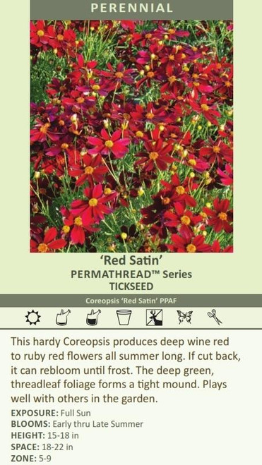 Coreopsis Permathread Red Satin PPAF 10ct Quarts