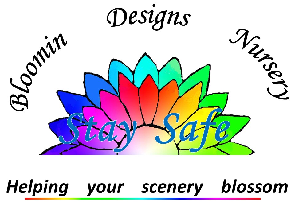 Gardening has not been cancelled Bloomin Designs Nursery