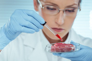 5 Chemicals Hiding in Store-Bought Beef You Should Never Eat