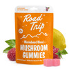 Day Trip MICRODOSED Magic Mushroom Gummies – Pink Lemonade
