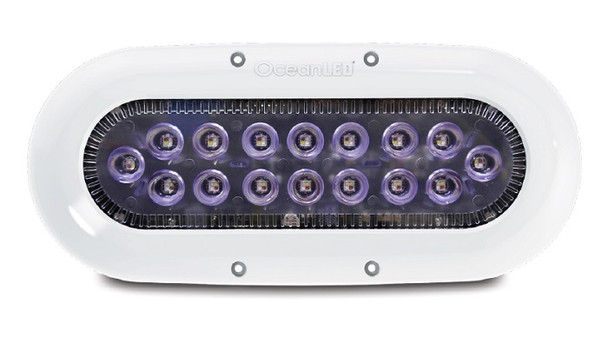 OceanLED X16 X-Series Midnight Blue LED 012309B