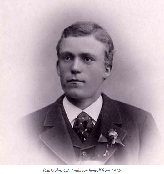 About C.J. Anderson & Company