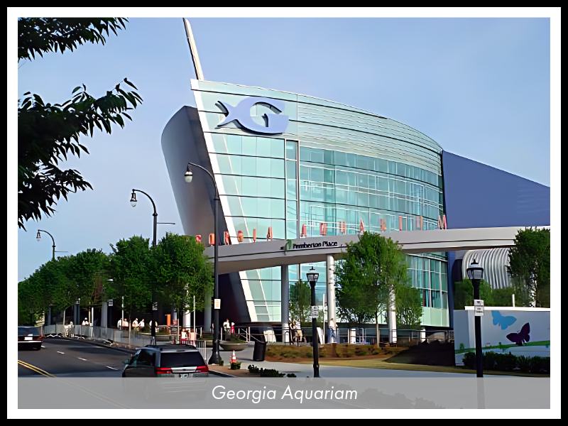 Georgia Aquariam