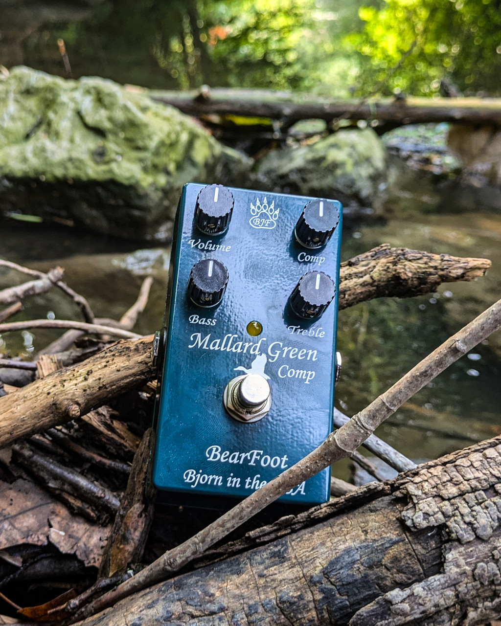 ベース Floatia Designs / Emerald Compressor Floatia Designs 【入荷