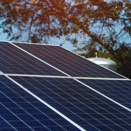 Mono PERC Solar Modules
