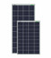 WAAREE 10Wp 12V Polycrystalline Small Solar Module