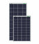WAAREE 100Wp 12V Solar Module
