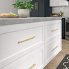 BP873320160 Modern Metal Pull - 873 | Kunal Kitchens