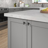 BP65038900 Transitional Metal Knob - 650 | Kunal Kitchens