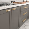 BP871696CHBRZ - Champagne Bronze Transitional Metal Pull - 8716 | Kunal Kitchens