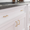 BP881896CHBRZ - Champagne Bronze Traditional Metal Pull - 8818 | Kunal Kitchens
