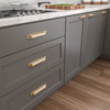 BP8716192CHBRZ - Champagne Bronze Transitional Metal Pull - 8716 | Kunal Kitchens