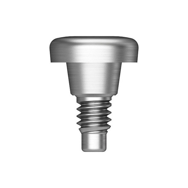 SS Cover Screw