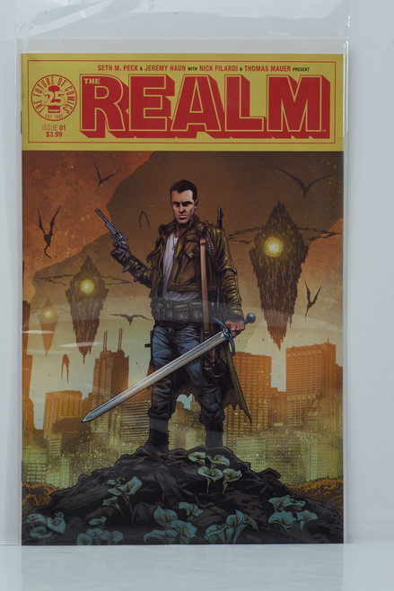 The Realm #1