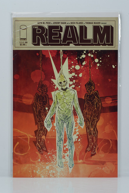 The Realm #9