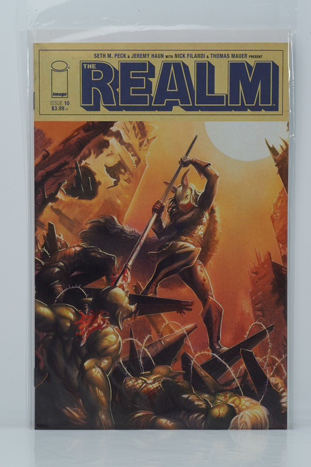 The Realm #10